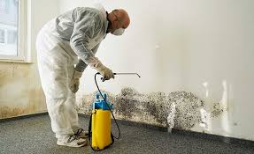 Mold Removal for HVAC Installations in Orange City, IA